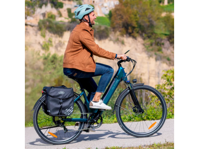 Fiido C11 City E-bike click to zoom image