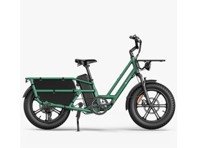 Fiido T2 Cargo Ebike