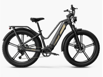 Fiido Titan Robust Cargo Ebike