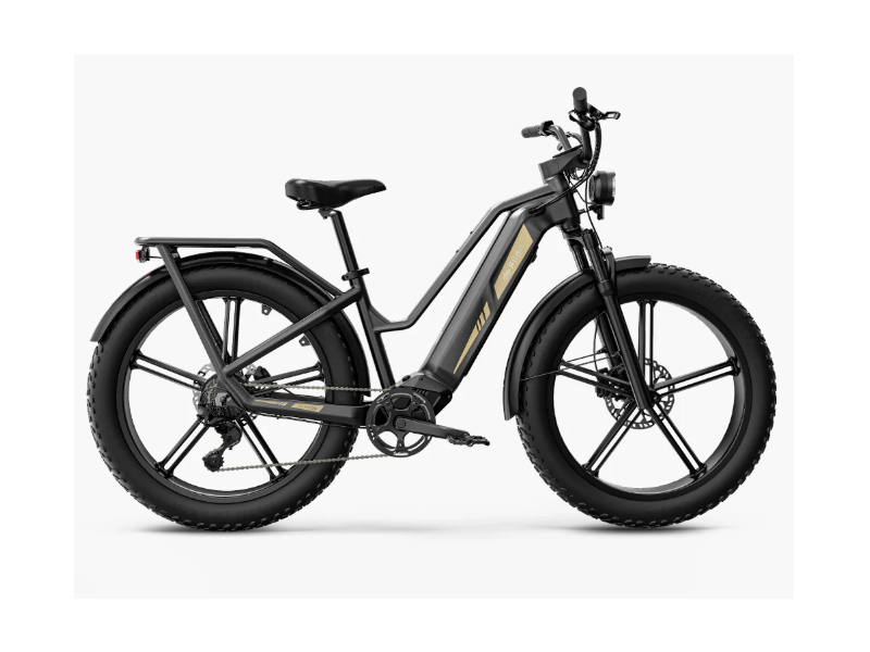 Fiido Titan Robust Cargo Ebike click to zoom image